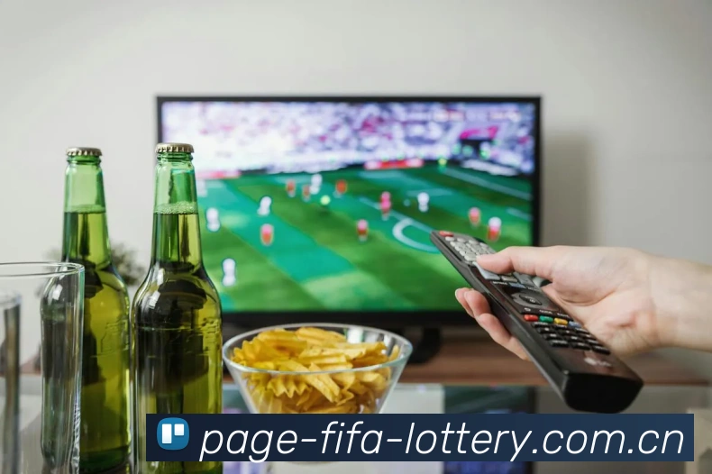 FIFA官方认证